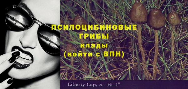 бутират Алексеевка
