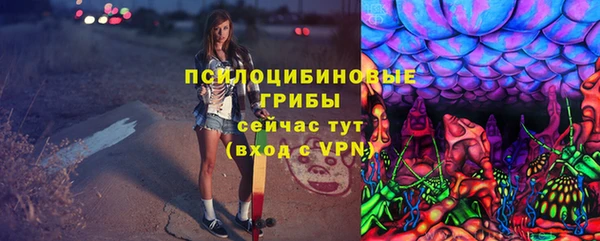 бутират Алексеевка
