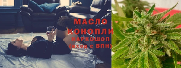 сатива Кулебаки