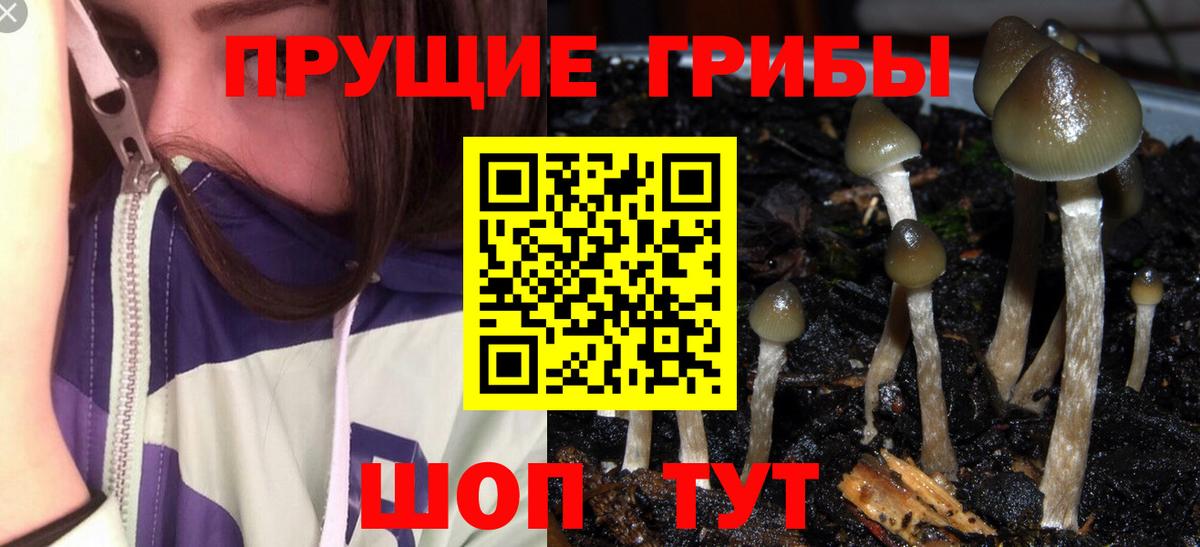 Арзамас  Псилоцибиновые грибы Cubensis  Галлюциногенные грибы Psilocybe  магазин    Вход с VPN 